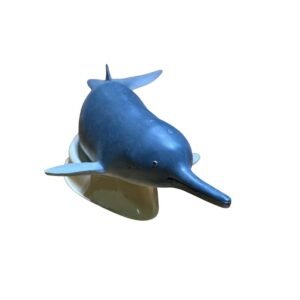 delfin, material de enseñanza