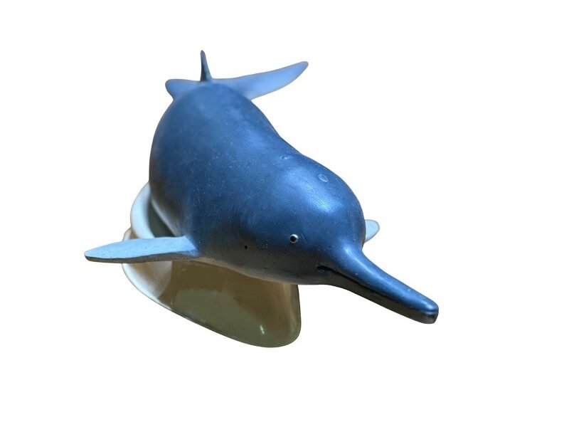 delfin, material de enseñanza