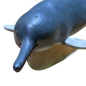 delfin, material de enseñanza