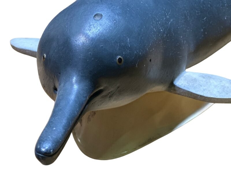 delfin, material de enseñanza