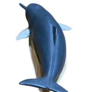 delfin, material de enseñanza