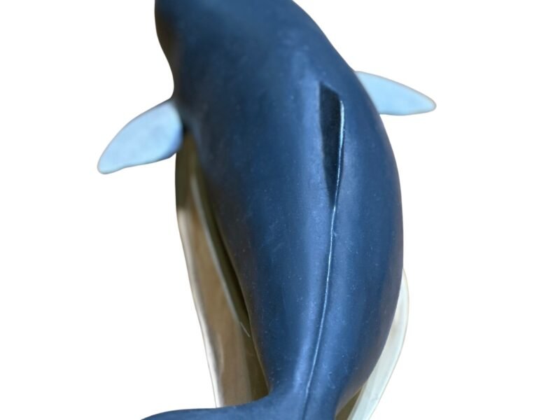 delfin, material de enseñanza