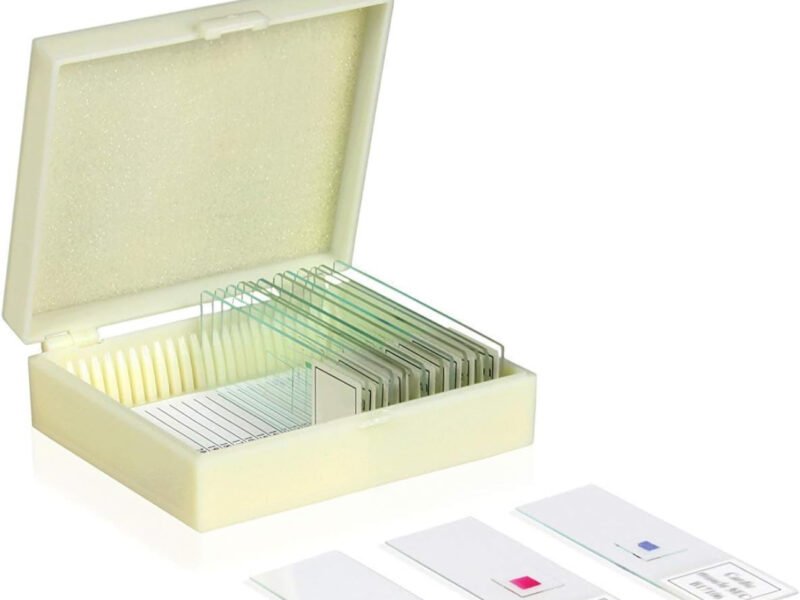 preparados para microscopios 3 modelos distintos