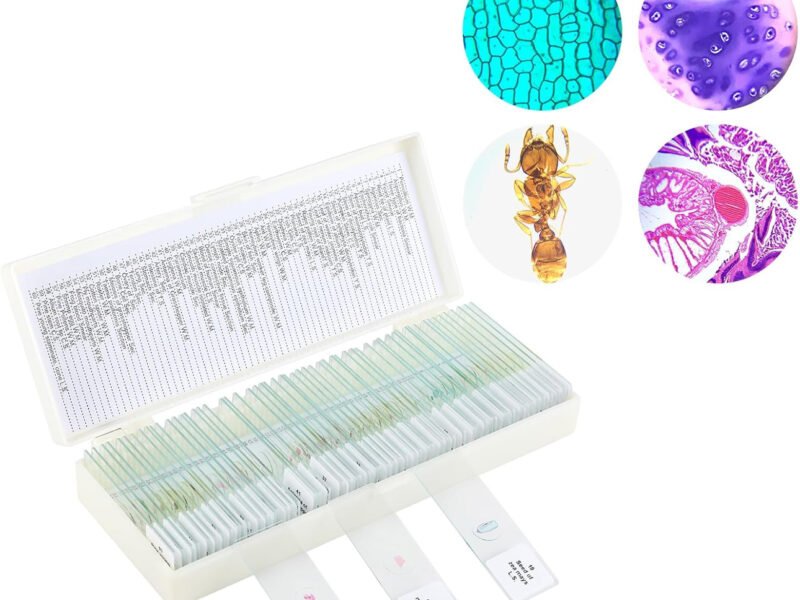 preparados para microscopios 3 modelos distintos