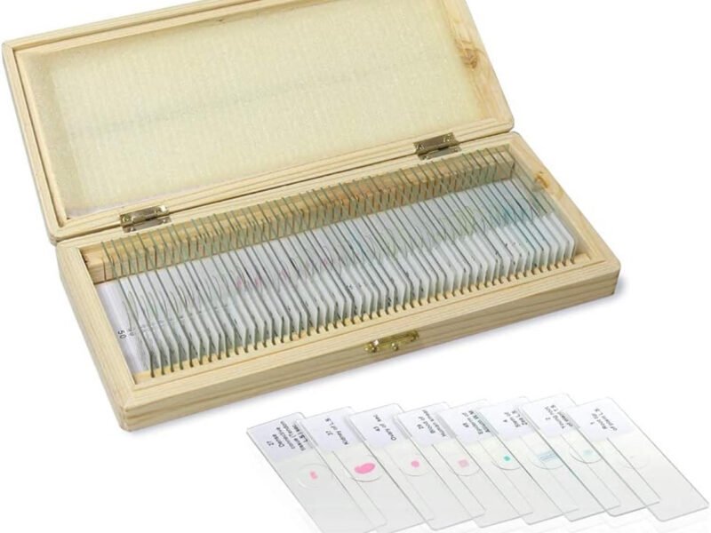 preparados para microscopios 3 modelos distintos