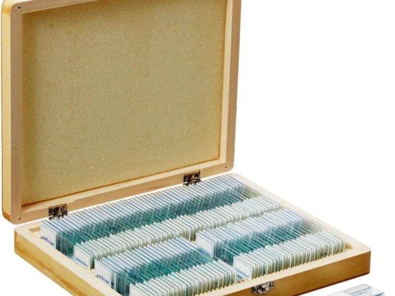 preparados para microscopios 3 modelos distintos