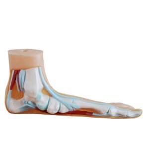 pie natural codj3c319326