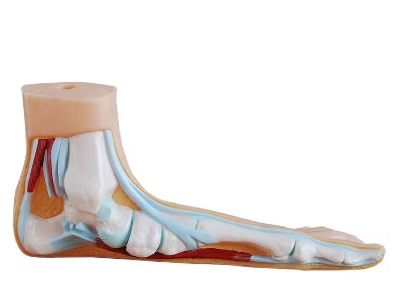 pie natural codj3c319326