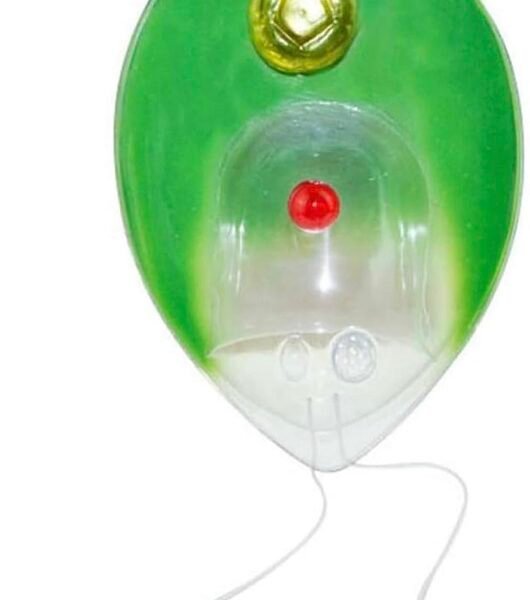 modelo de alga cod6010