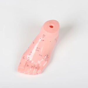 pie acumpuntura para enseñanza, j3c519510