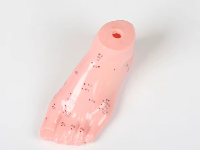 pie acumpuntura para enseñanza, j3c519510