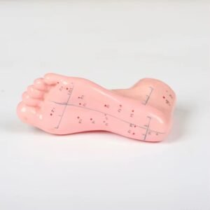 pie acumpuntura para enseñanza, j3c519510