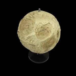 modelo lunar, codigo j423705