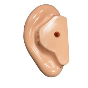 oído acupuntura, material para enseñanza codj3c519508b