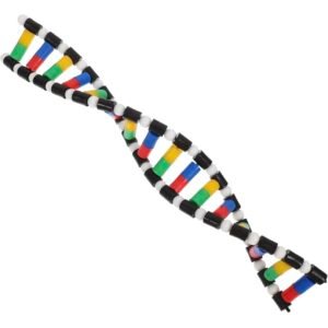 modelo de adn, material didáctico código ysb009