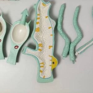 hydra, material didactico para enseñanza, 6012