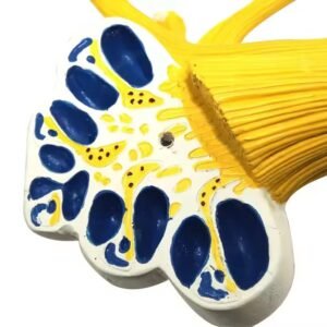 laberinto auditivo, material didactico para enseñanza, 7015