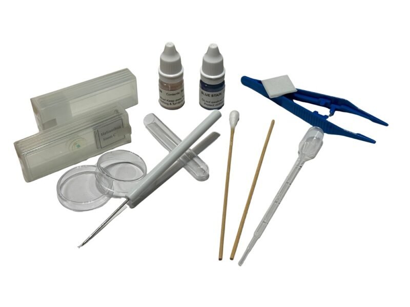 microscopio con kits de accesorios codstu01116j