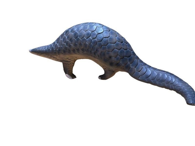 pangolín, material de enseñanza