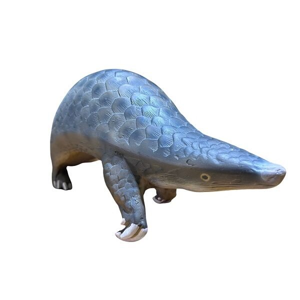 pangolín, material de enseñanza