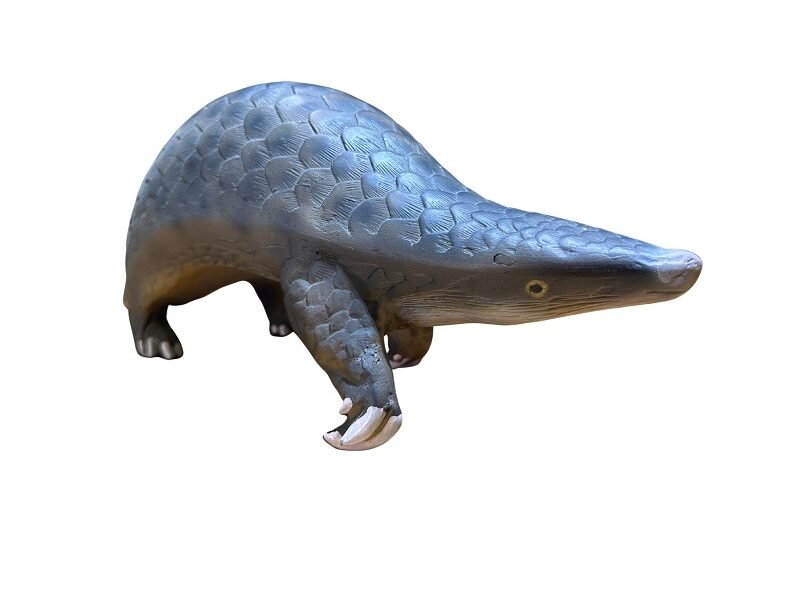 pangolín, material de enseñanza