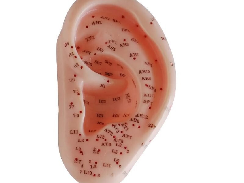 oído acupuntura, material para enseñanza codj3c519508b