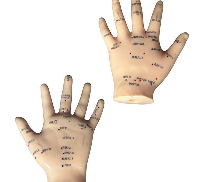 mano acupuntura, para enseñanza codj3c519509