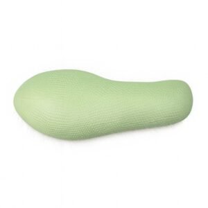 paramecia, para enseñanza, 6017