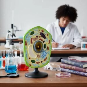 célula vegetal, para enseñanza codj342032162