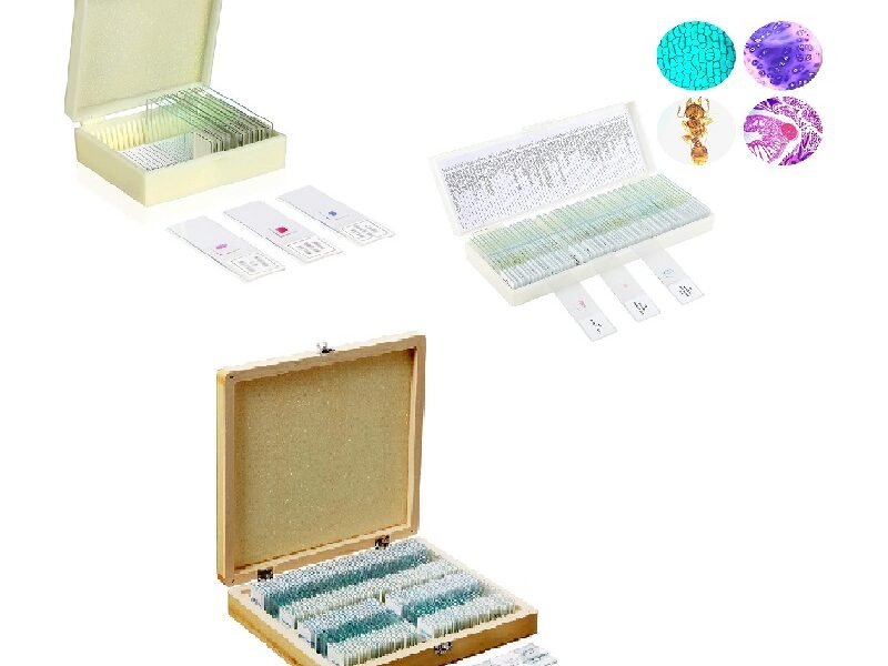 preparados para microscopios 3 modelos distintos