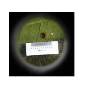 lupa copa con luz 8x cod131002 lupa copa con luz 8x cod131002