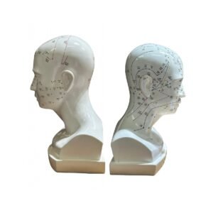 cabeza acupuntura de tamaño natural codj3c519507a